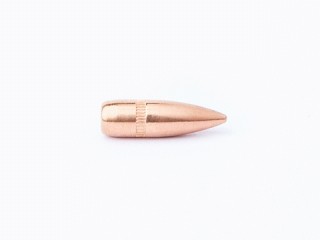OGIVES CAM PRO CALIBRE 223  62GRAINS