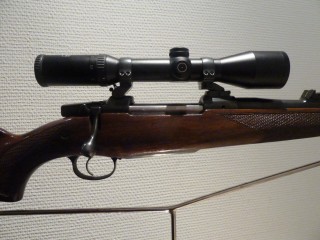 CZ  550 MAGNUM LUXE CALIBRE 375 HH + SCHMIDT BENDER
