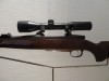 CZ  550 MAGNUM LUXE CALIBRE 375 HH + SCHMIDT BENDER