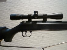DIANA  MODELE PANTHER 31  CALIBRE 4.5