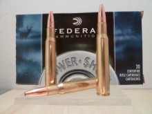 FEDERAL CALIBRE 30-06 SOFT-POINT 180 gr 11,66 g