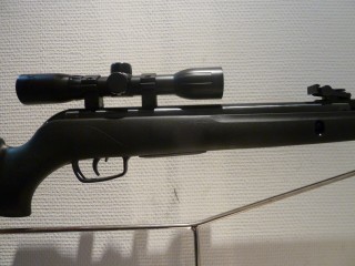 GAMO BIG CAT 1000E