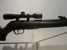 GAMO BIG CAT 1000E