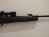 GAMO BIG CAT 1000E