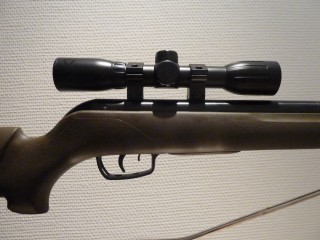 GAMO BIG CAT 1000E BARRICADE