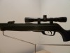 GAMO BLACK BEAR