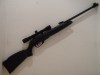 GAMO BLACK BEAR