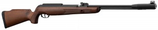 GAMO CFX ROYAL 20 JOULES