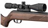 GAMO HUNTER 440 AS + LUNETTE 3-9X40