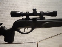 GAMO TACTICAL STORM