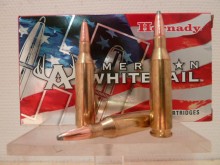 HORNADY AMERICAN WHITETAIL CALIBRE 243W