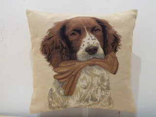 COUSSIN TOILE CHIEN TENANT GANT