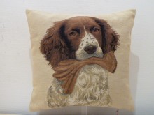 COUSSIN TOILE CHIEN TENANT GANT