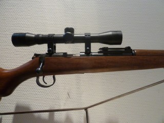 CARABINE NORINCO MODELE JW25A CALIBRE 22LR