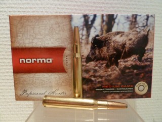 NORMA CALIBRE 30-06 ORYX 13G 200GR