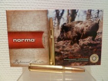 NORMA CALIBRE 30-06 ORYX 13G 200GR