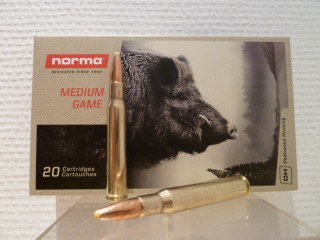 NORMA CALIBRE 30-06 POINTE PLASTIQUE 11,7G 180GR