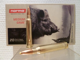 NORMA CALIBRE 300WM POINTE PLASTIQUE 11,7G 180GR