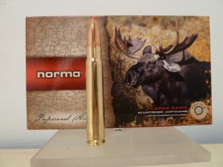 NORMA CALIBRE 9,3X62 POINTE PLASTIQUE 18,5G 286GR