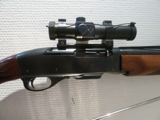 REMINGTON 7400 CALIBRE 280 REM + POINT ROUGE BUSHNELL