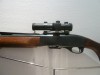 REMINGTON 7400 CALIBRE 280 REM + POINT ROUGE BUSHNELL