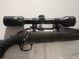 RUGER AMERICAN RIFLE CALIBRE 243W AVEC LUNETTE BUSHNELL 3-9X40