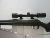 RUGER AMERICAN RIFLE CALIBRE 243W AVEC LUNETTE BUSHNELL 3-9X40