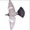 APPELAND PIGEON STEP-FLAP