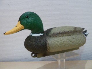 APPELANT CANARD COLVERT