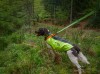 GILET POUR CHIEN WILD TRACKER