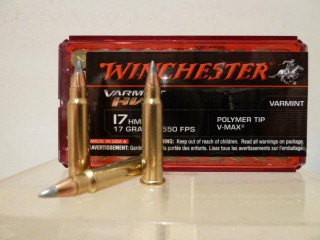 WINCHESTER CALIBRE 17HMR VARMINT HV