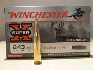 WINCHESTER CALIBRE 243W POWER-POINT 100 GRAINS